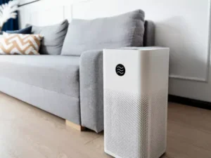 An Air Purifier Is A Useful Tool For Fighting Indoor Pollution, But It Is Not A Perfect Solution